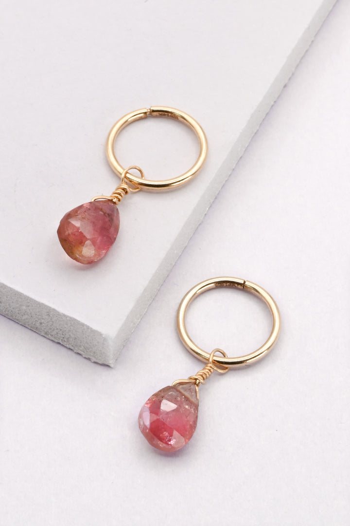 Gold Seamless Huggie Hoops with Watermelon Tourmaline Drops